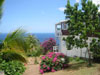 location studio guadeloupe